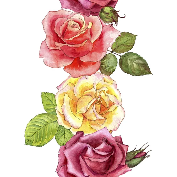 Seamless pattern with watercolor drawing roses — Stock Photo, Image