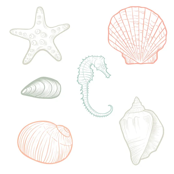 Hand drawn vector seashells — Stock Vector