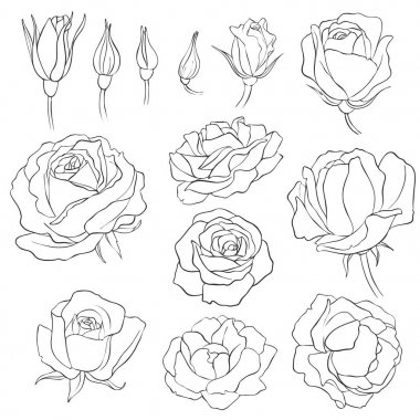 çiçekler, vintage çiçek kümesi vektör