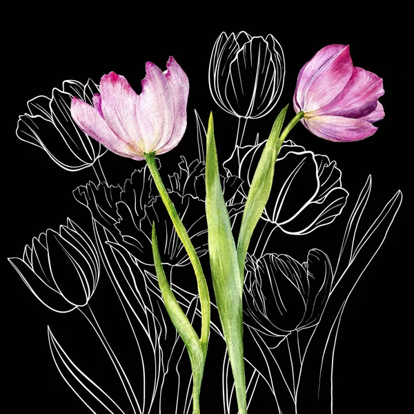 Rita blommor av tulpan — Stockfoto
