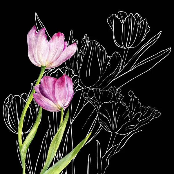 drawing flowers of tulip