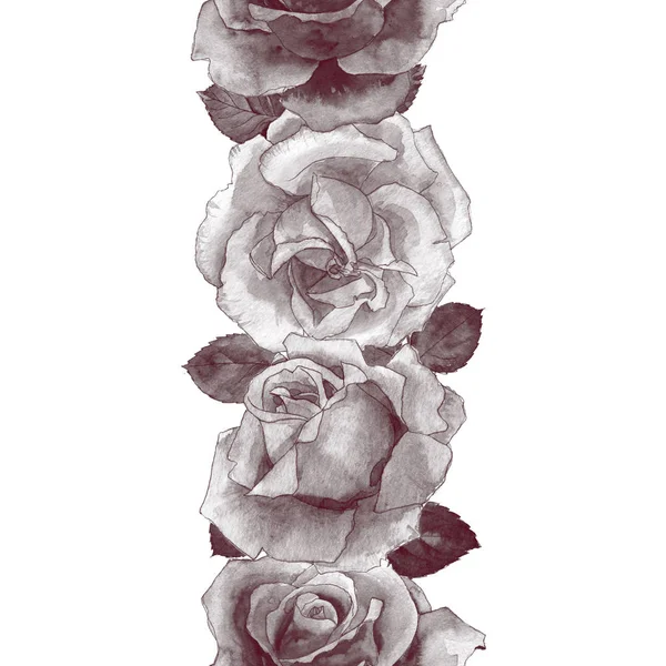 수채화 그리기 장미와 완벽 한 패턴 — 스톡 사진