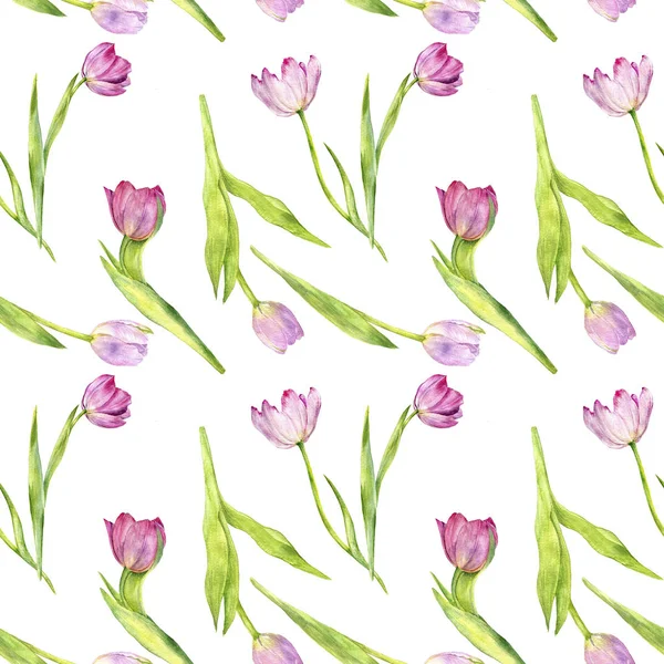 Watercolor seamless pattern with pink tulips — Stock Photo, Image