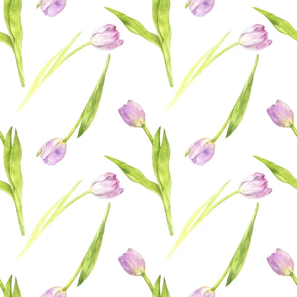 Watercolor seamless pattern with pink tulips — Stock Photo, Image