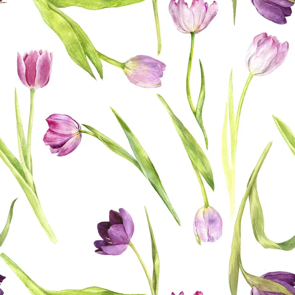 Aquarell nahtloses Muster mit rosa Tulpen — Stockfoto