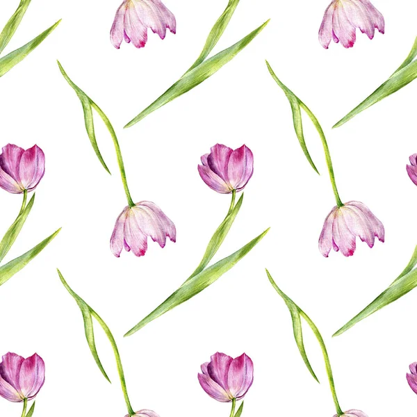 Motif sans couture aquarelle avec tulipes roses — Photo