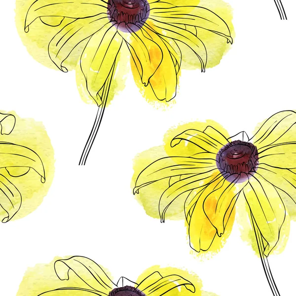 Vector patrón sin costura con flor de Rudbeckia — Archivo Imágenes Vectoriales