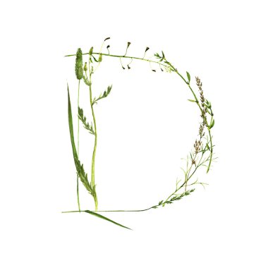 çiçek suluboya harf D