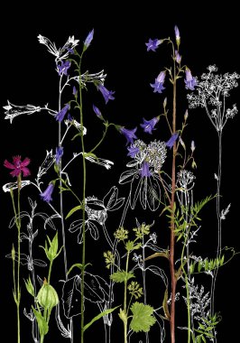 Arka plan bitki ve çiçek çizim ile