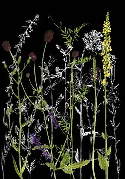 Background with drawing herbs and flowers