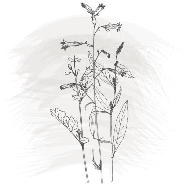 Arka plan bitki ve çiçek çizim ile