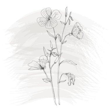 Arka plan bitki ve çiçek çizim ile