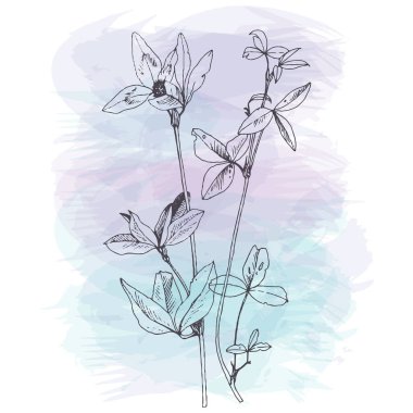 Arka plan bitki ve çiçek çizim ile