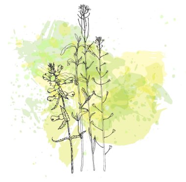 Arka plan bitki ve çiçek çizim ile