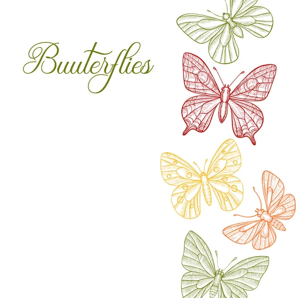 Vektor zeichnet Schmetterlinge — Stockvektor
