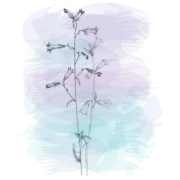 Arka plan bitki ve çiçek çizim ile — Stok Vektör