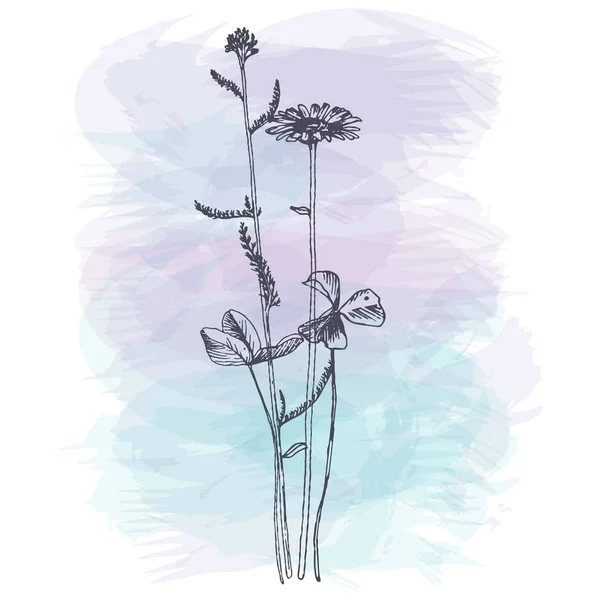 Hintergrund mit Zeichnung von Kräutern und Blumen — Stockvektor