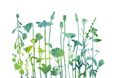 Otlar ve çiçek çizim ile suluboya arka plan