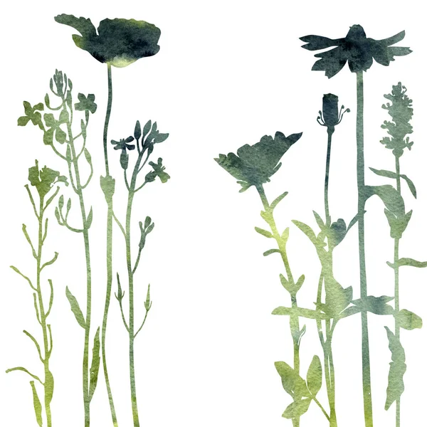Latar belakang cat air dengan gambar herbal dan bunga — Stok Foto
