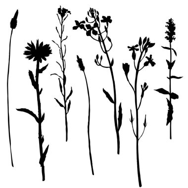 Bitkiler ve çiçekler siluetleri kümesi