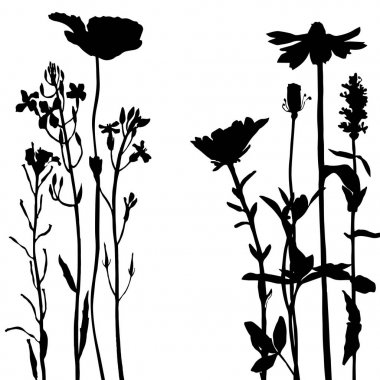 Arka plan bitki ve çiçek çizim ile