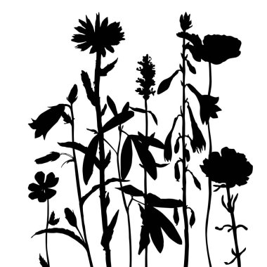 Arka plan bitki ve çiçek çizim ile