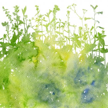 Otlar ve çiçek çizim ile suluboya arka plan