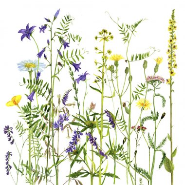 arka plan suluboya çiçekli