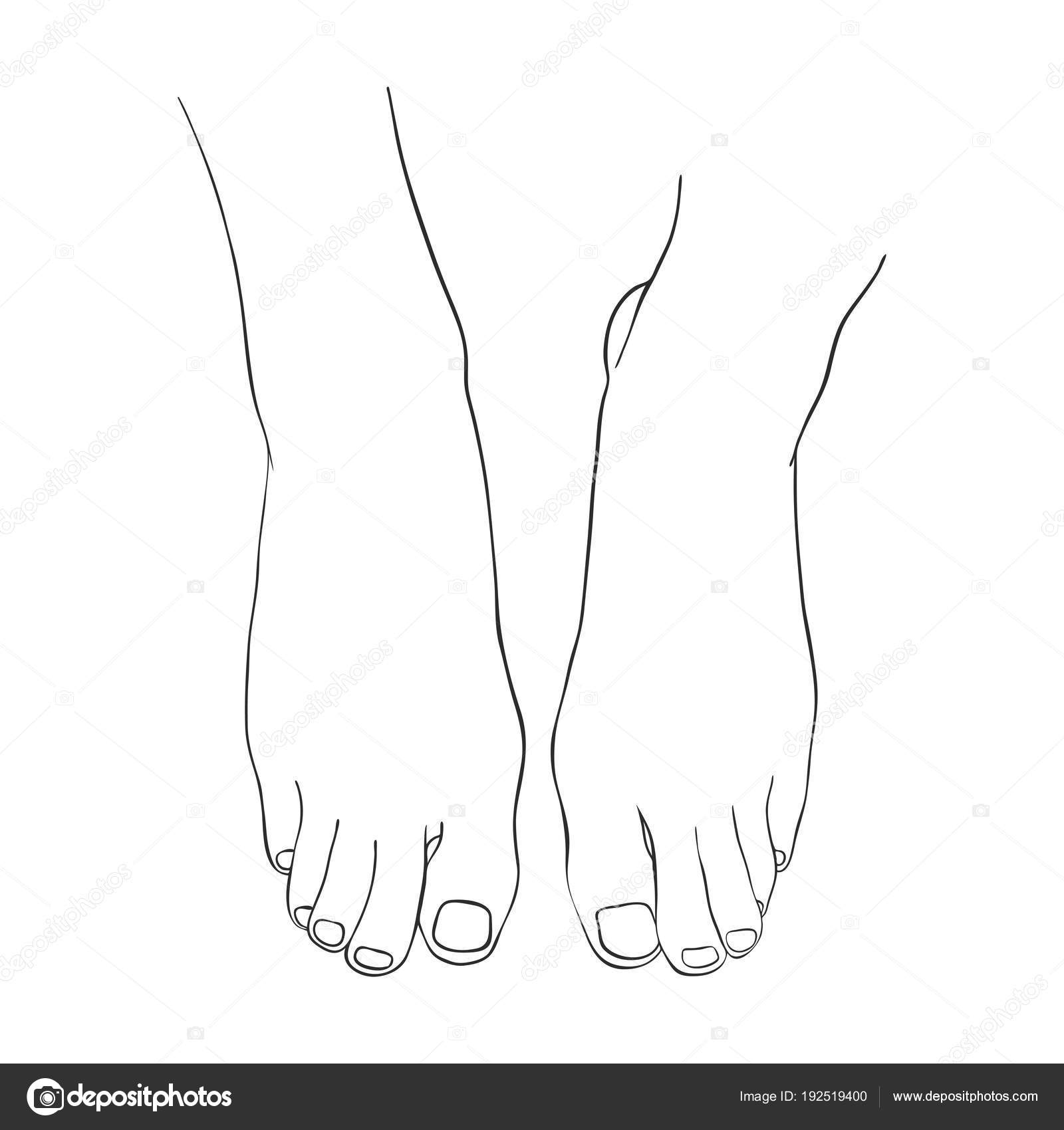 140+ Bare Female Feet Drawing Illustrations, Royalty-Free Vector Graphics &  Clip Art - iStock