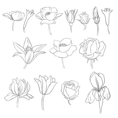 çiçekler, vintage çiçek kümesi vektör