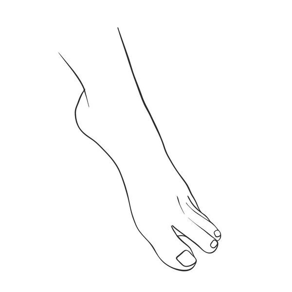 Hand drawn women foot — Stock Vector
