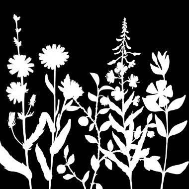 vektör otlar siluetleri