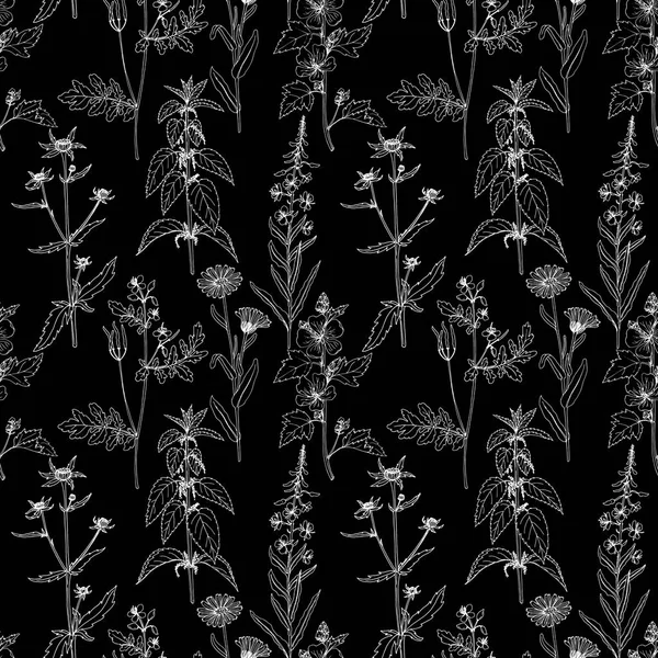 Vector patrón sin costura con hierbas y flores — Vector de stock