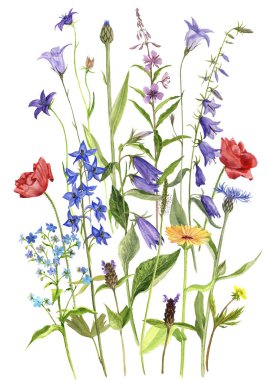 arka plan suluboya çiçekli