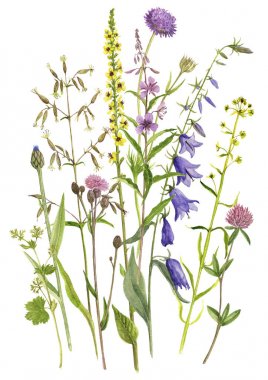 arka plan suluboya çiçekli