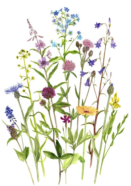 Hintergrund mit Aquarellblumen — Stockfoto