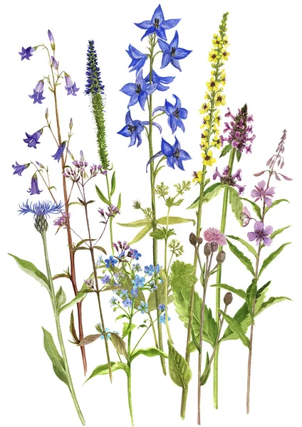 Bakgrund med akvarell blommor — Stockfoto