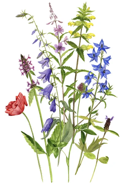 Háttér akvarell virágokkal — Stock Fotó