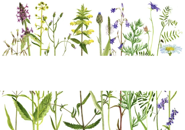 Şablon suluboya çiçekli