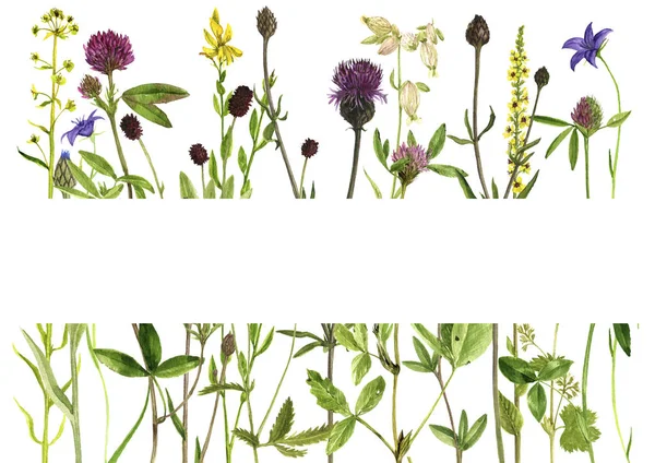 Şablon suluboya çiçekli