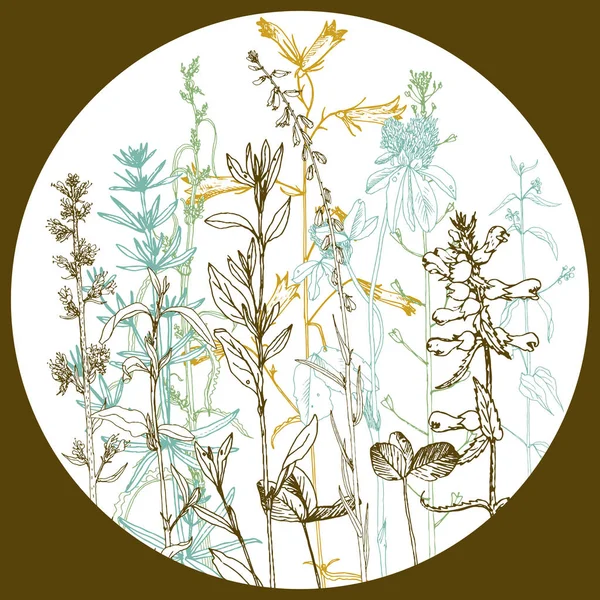 Plantilla redonda con dibujo de hierbas y flores — Vector de stock