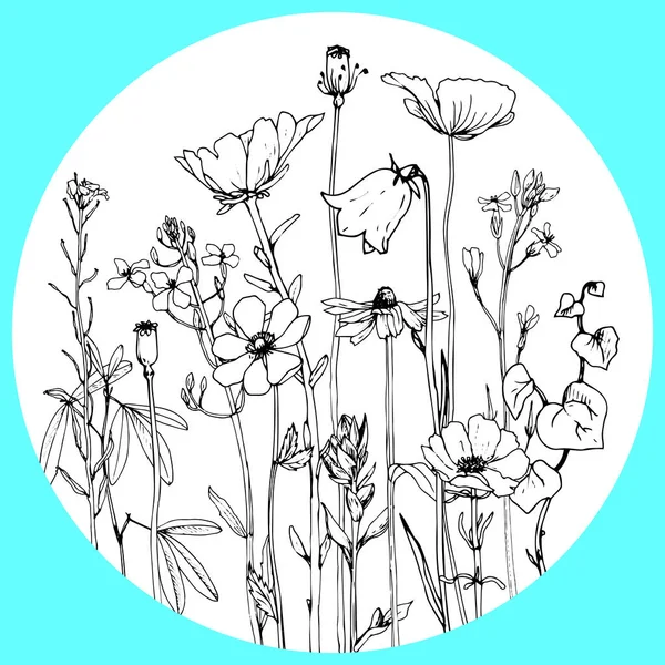 Plantilla redonda con dibujo de hierbas y flores — Vector de stock