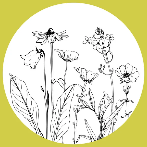 Kruhová šablona pro kreslení bylinky a květiny — Stockový vektor