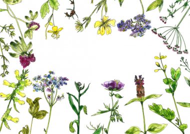 Sulu Boya çizim çiçek ve bitki