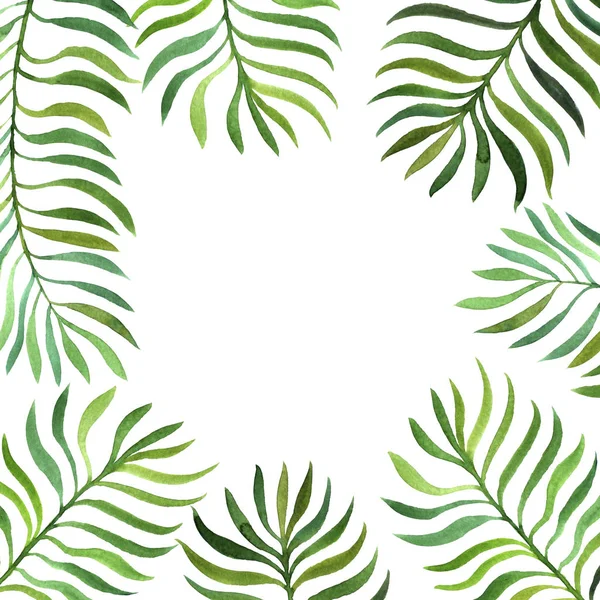 Background with watercolor fern leaves — Stock Photo, Image