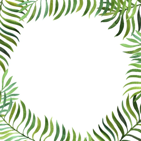 Background with watercolor fern leaves — Stock Photo, Image