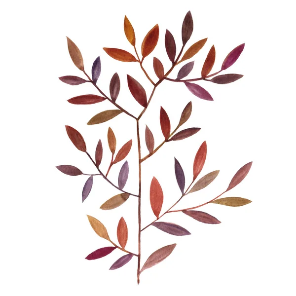 Aquarell Zeichnung Baum mit Blättern — Stockfoto