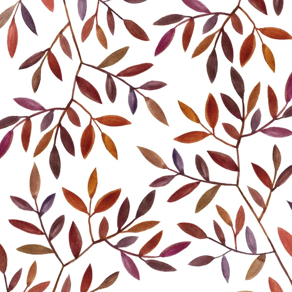 Sfondo con rami e foglie di albero acquerello — Foto Stock