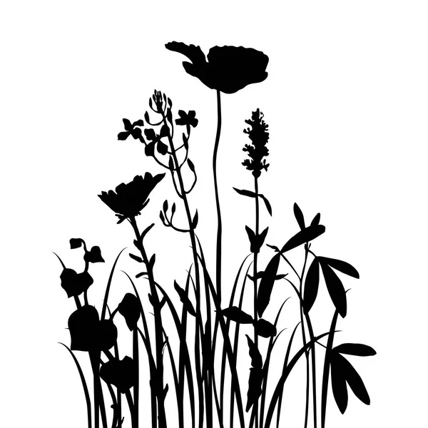 Fondo con el dibujo de hierbas y flores — Archivo Imágenes Vectoriales