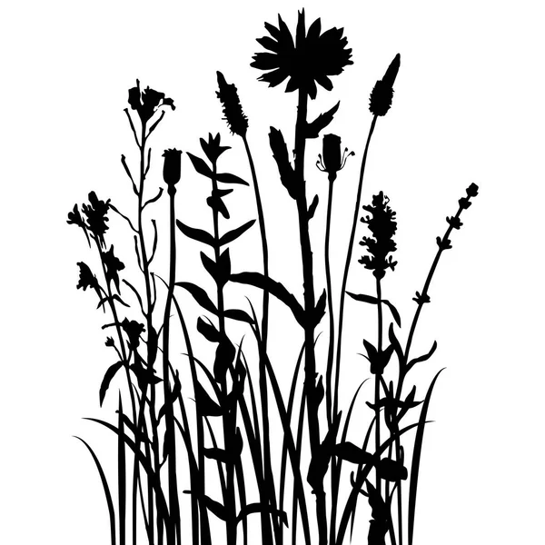 Fondo con el dibujo de hierbas y flores — Vector de stock